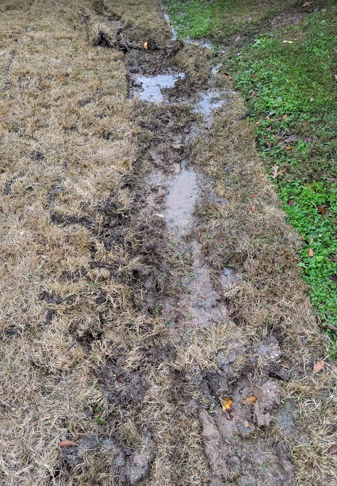 Evergreen Landscape & Irrigation