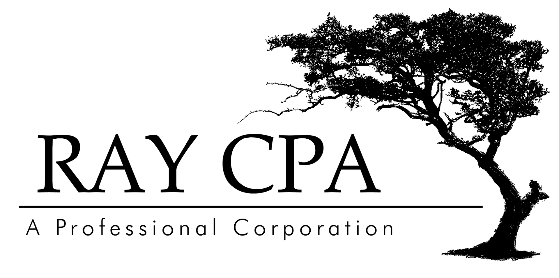 Ray CPA, P.C.