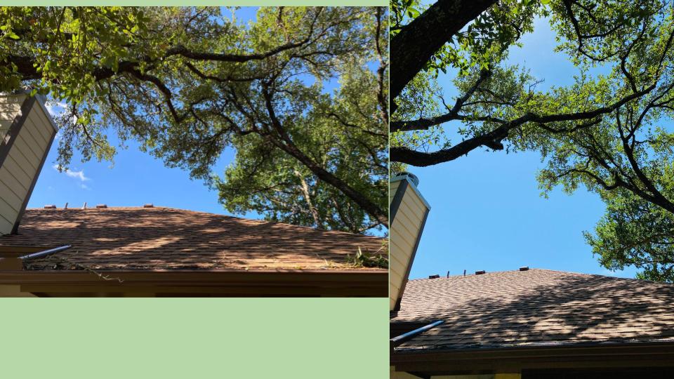 Acacia Tree and Landscape Care