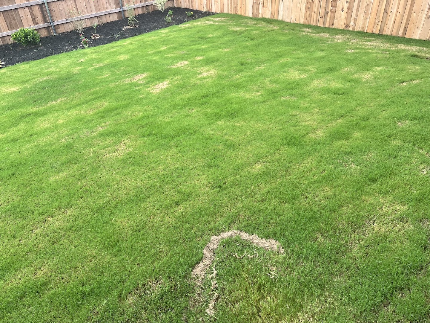 Yardful Lawn Services