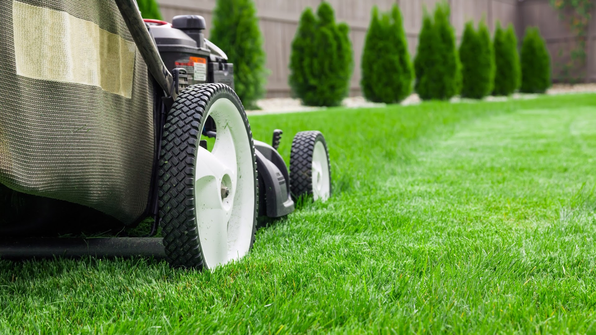 LawnStarter Cedar Park