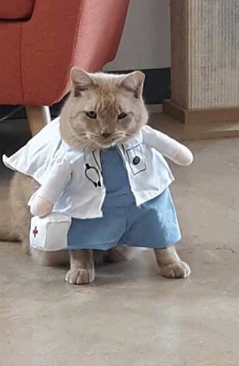 Central Texas Cat Hospital - MERGED W/ SAM BASS VETERINARY WELLNESS