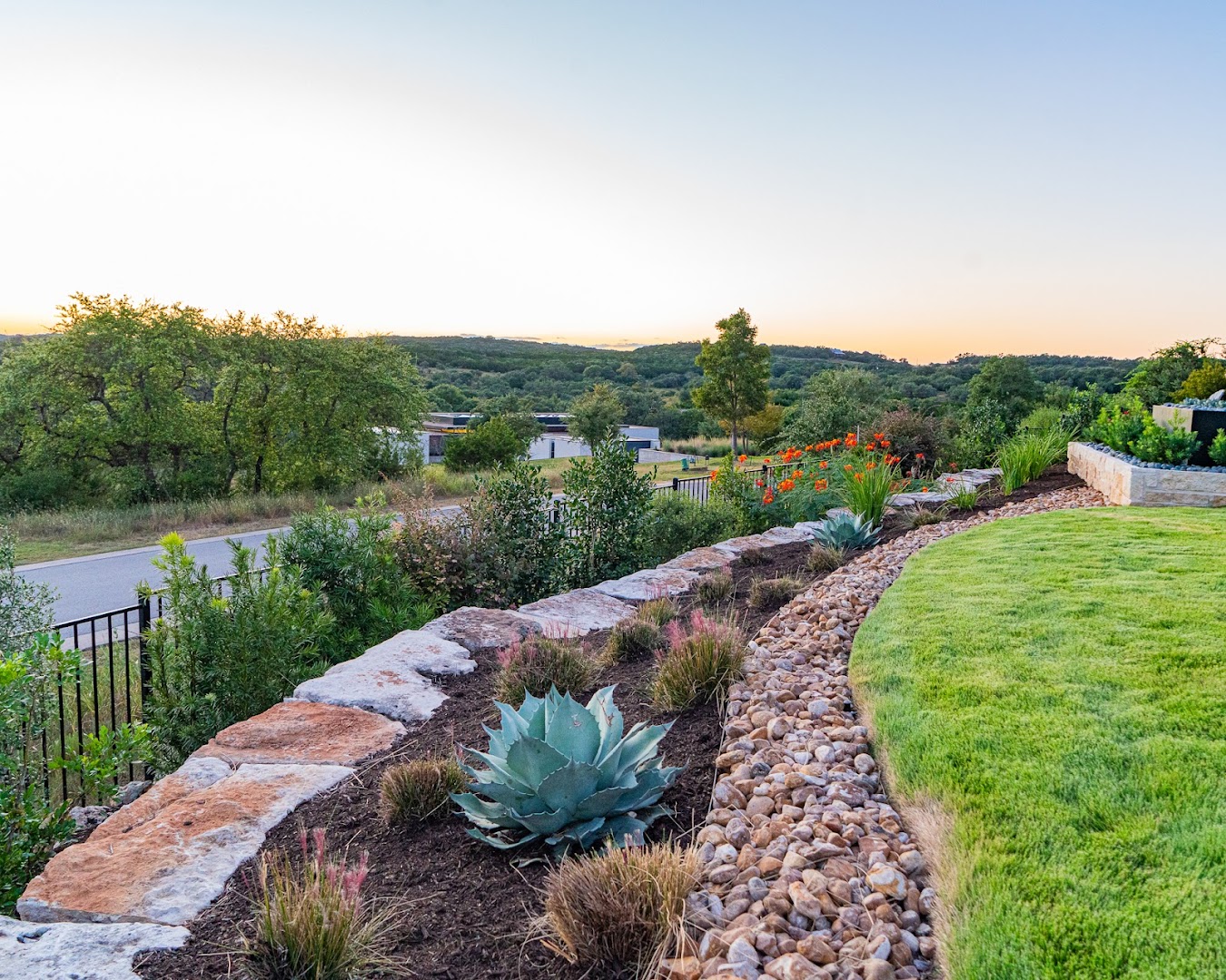 Agave LD of Cedar Park