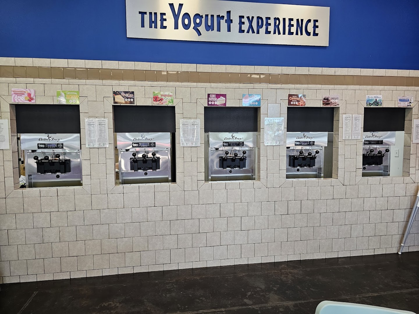 The Yogurt Experience