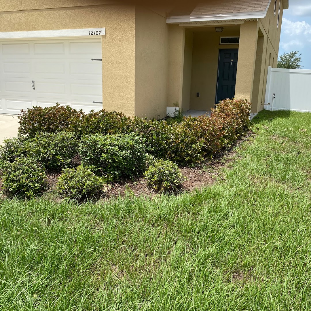 LawnStarter - Austin Landscaping