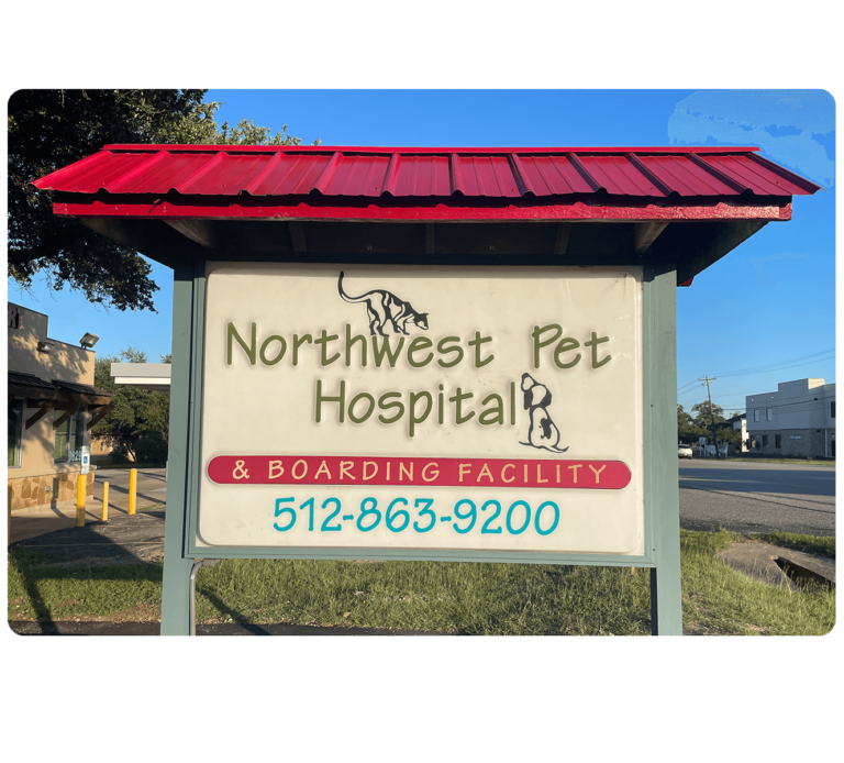 Northwest Pet Hospital
